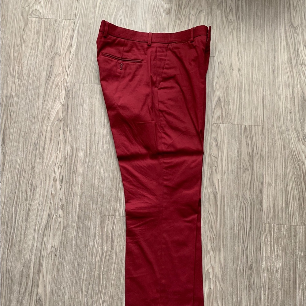 Express Photographer Dress Pant